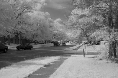 Infrared Photo Infrared Photo